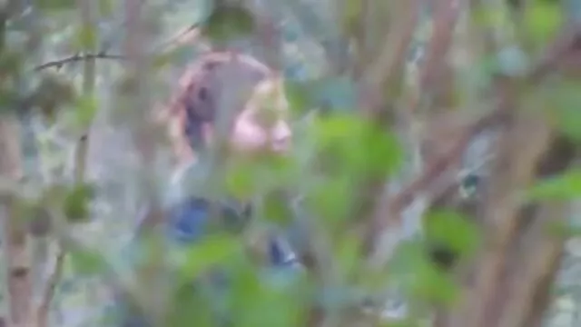 सर्वश्रेष्ठ पोर्न कोई पंजीकरण  मेरी सह को फुल सेक्सी मूवी पिक्चर उसकी चूत में घुसा दिया