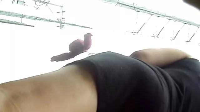 सर्वश्रेष्ठ पोर्न कोई पंजीकरण  सलोनियां ब्लू फिल्म फुल सेक्सी वीडियो